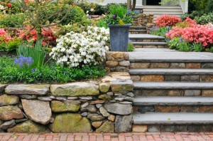 Garden retaining wall and walkway